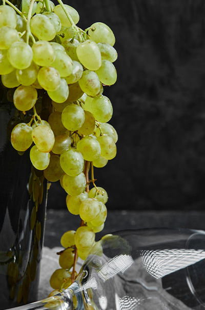 viticulture